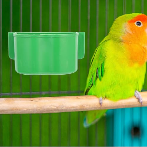 YARNOW 15 Pçs Caixa De Comida De Papagaio Suporte De Comida De Pássaro Tigela De Alimentação De Papa