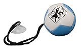  AUTOSPIEGELBALL BALL TSV 1860 MÜNCHEN