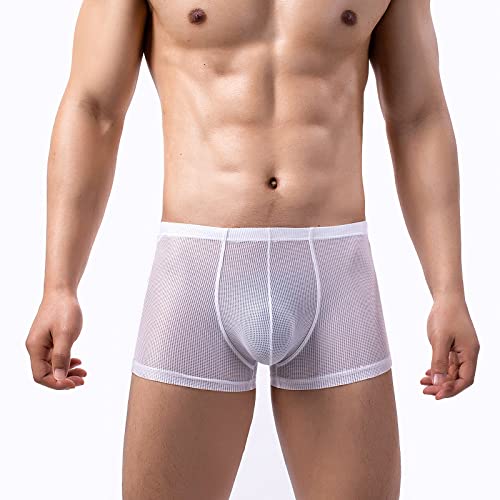 Evankin Mens Sexy Mesh Boxer Briefs Low Rise Underwear Breathable Hollowed Out Boxers Assless(White,L) - Image 3