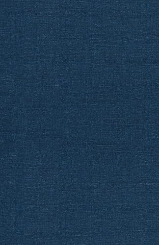 Digital Nomads: Mastering the Art of Working fr... B0DP1P1S1Z Book Cover