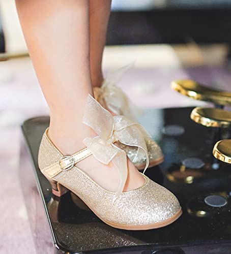 Image of THEE BRON Girls Low Heel Dress Shoes Mary Jane Party Wedding Flower Girl Pumps