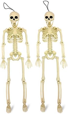 WJBB19" Full Body Skeleton Posable Halloween Skeleton Movable Joints Skeleton for Best Halloween Decoration