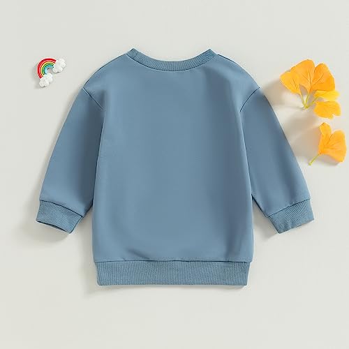 BOIBOKOKO Big Brother Little Sister Matching Outfits Baby Solid Color Long Sleeve Sweatshirt Romper Fall Winter Clothes3