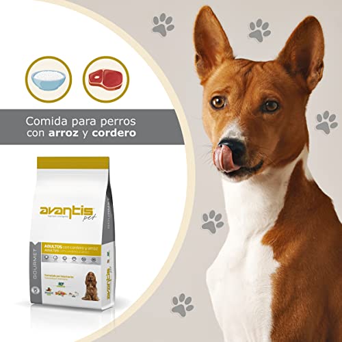 Avantis Pet Gourmet Futter für ausgewachsene Hunde mittlerer und großer Rassen, 15 kg, sehr nährstoffreich mit Lamm und Reis