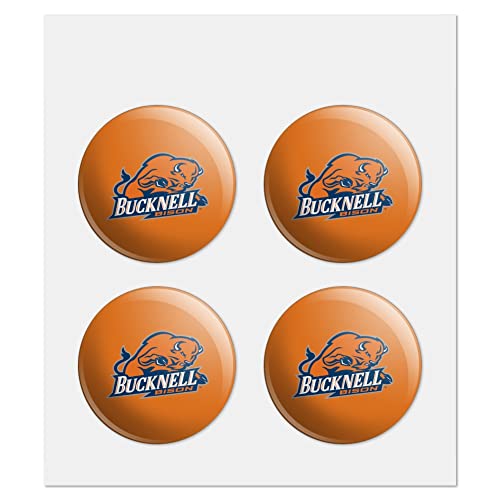 Bucknell Secondary Logo 2.0