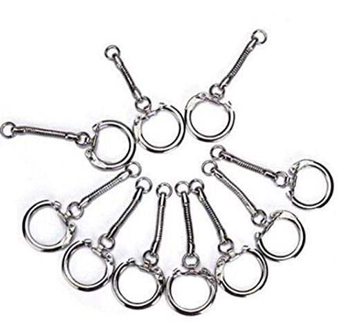 Fast-Shop - Juego de 10 llaveros de Cadena de Serpiente para el Coche, Accesorios para Novia, Amante, Regalo Cover