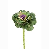 Floristrywarehouse Artificial Brassica Ornamental Cabbage Stem 18 Inches Green Purple
