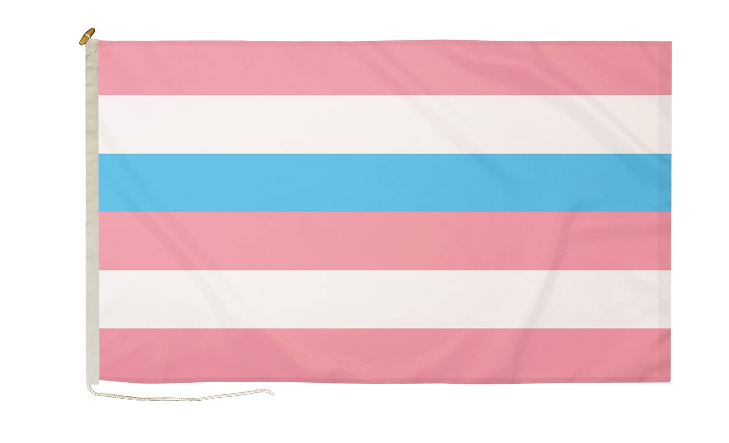 DuraFlag Intersex (Yellow/Purple) Pride Small Courtesy 20x12" Rope and Toggled Premium Quality 50x30cm Flag โ image 1