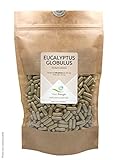 Vital-Energie Eucalyptus Globulus 540 gélules