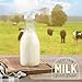 kitchentoolz 32 Oz Round Glass Milk Bottle with Lids, Perfect Milk Container for Refrigerator 32 Ounce Round Glass Milk Carafe with Lid and Pour Spout -Made in USA Pack of 1