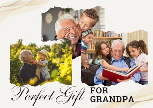 Lot de 4 stylos papaw avec écriture fluide et design rétractable - 7