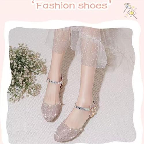 AOQUNFS Girls Dress Shoes Latin Ballroom Dance Shoes Mary Jane Low Heels Wedding Party Sandals,DS-20674