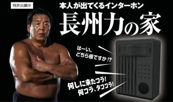 押してみな、飛ぶぞ　長州力の家　全５種類コンプリートセット Amazon.co.jp: 押してみな飛ぶぞ 長州力の家 全5種類コンプリート
