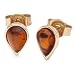 Produktbild InCollections Damen-Ohrstecker 333/000 Gold mit Bernstein