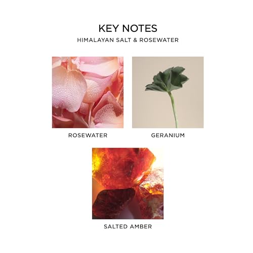 NEST New York Reed Diffuser, Himalayan Salt & Rosewater - 5.9 fl oz - Fragrance for Up to 90 Days - Reusable, Refillable Glass Holder - Includes 8 All-Natural Reed Sticks - Flame Free4