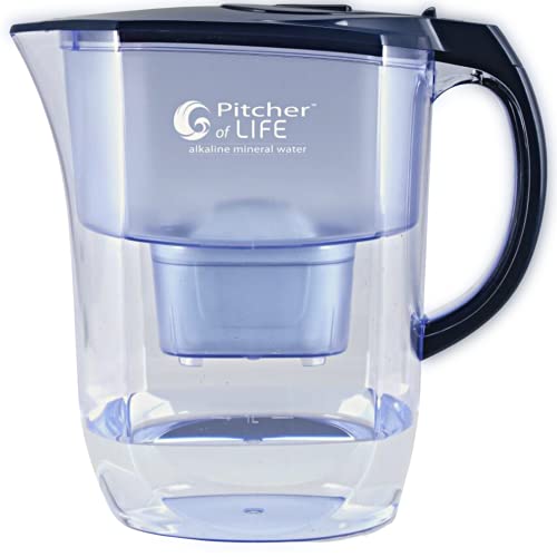 Our Top 10 Best alkaline water pitchers Reviews and Buying