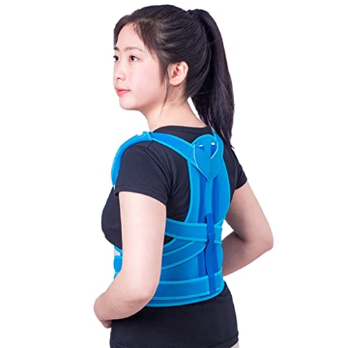 pxg Lwxg Lw΍ w؋xg qp jp lp pT|[g S