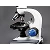 Parco Scientific PBC-505SLRC Monocular Elementary Level Compound Microscope, 10x WF & 25x WF Eyepiece, 40x1000x Magnification, Brightfield LED Illumination, Mechanical Stage, Rechargeable Battery