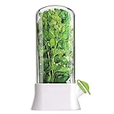 SIXRUN Kr&auml;uteraufbewahrung f&uuml;r K&uuml;hlschrank, 13 x 27 cm, Frischhalter f&uuml;r Basilikum, Petersilie, Minze, Koriander