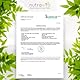 Nutravita Bio-Kurkuma-Curcumin 1440 mg mit schwarzem Pfeffer und Ingwer - 180 vegane Kurkuma-Kapseln mit hoher Festigkeit (3-Monats-Lieferung) - Bio-Bio von Soil Association