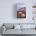 Trademark Fine Art Canvas Wall Art - Delene Lambert 'In the Eye of the Beholder Proteas' Wall Art for Living Room, Bedroom, or Office Décor 12 x 19 Inches