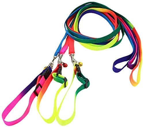 RvPaws Rainbow Adjustable Cat Collars with Bell Leash Set, Quick Release Safety Buckle for Kitty Rabbit Small Animals, Rainbow Collar Leash Set 1 Pcs Pack (B09P6F8XPL) Amazon Price History, Amazon Price Tracker