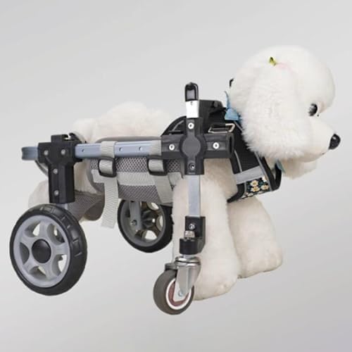 Adjustable Dog Wheelchair for Injured Pets – Front & Rear Leg Mobility Aid – Durable Aluminum Support Cart for Rehabilitation & Recovery