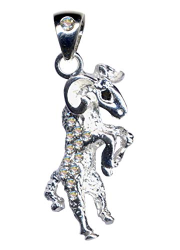 Pendentif argent 925 véritable anti-noircissement horoscope blanc transparent pour peau sensible