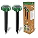 Produktbild Careland Maulwurfabwehrpfähle, solarbetriebener Ultraschall Gopher Abschreckung Erdhog Repeller Sonic Spikes Outdoor Wühlmausbekämpfung Chaser für Rasen und Garten Wasserdicht (2)