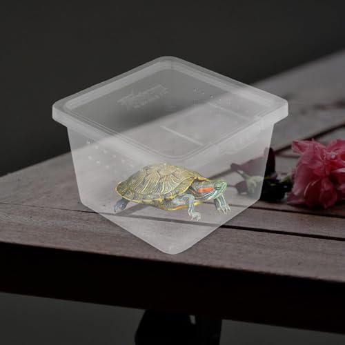 Terrarium pour reptiles boîte d'élevage lézards araignées - 8