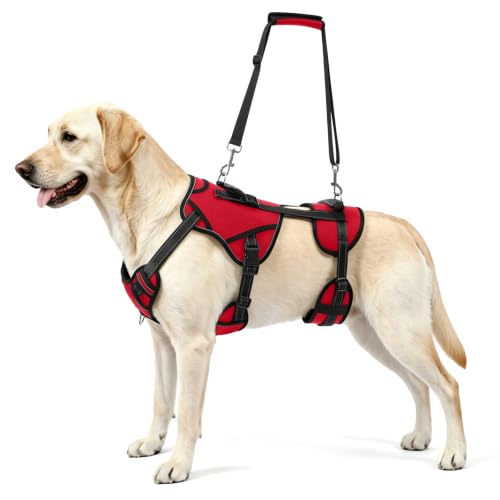 Image of NOYAL Dog Lift Harness, 2-in-1 Support Sling for Senior & Injured Dogs