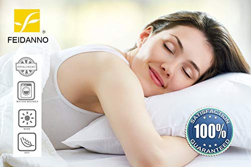 FEIDANNO-Sea-Whales-Duvet-Cover-Set-King-SizeWhales-Dolphins-Octopus-Jellyfish-Starfish-with-Waves-ImageDecorative-3-Piece-Bedding-Set-with-2-Pillow-ShamsBlueKing 41unFXB9V1L