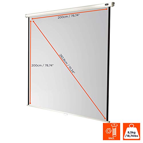 celexon Economy Rollo-Leinwand 110 | 200x200 cm 1:1 | manuell ausziehbare 4K, Full-HD Beamerleinwand f&uuml;r Projektionen im Heimkino & B&uuml;ro | Wand- & Deckenmontage/zum Aufh&auml;ngen