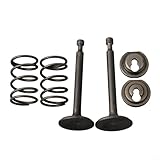 Ensemble de retenue de ressort pour moteurs GX200 168F 170F : le kit comprend 2 ressorts de soupape, une soupape d'entrée, une soupape d'échappement, un collier de valve d'entrée et un collier de valve d'échappement, conçu pour une compatibilité précise avec les moteurs de 5,5 à 6,5 HP utilisés dans les générateurs, les tondeuses à gazon et les pompes à eau