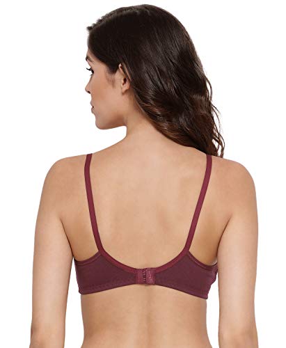 Image of Lyra Women's Cotton Non Padded Wire Free T Shirt Bra