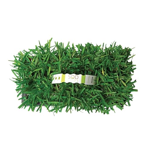 SodPods St. Augustine Scotts ProVista Grass Plugs for Lawn Repair 3 x 3 Each (64-Count) Cannot Ship to California/Arizona