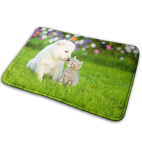 DADABULIU oX}bg փ}bg O  C}bg  L q qL L[g Ő  ӂ}bg gC}bg }CNt@Co[ 唻  zD ~ K  40*60cm