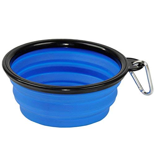 Collapsible Pet Bowl