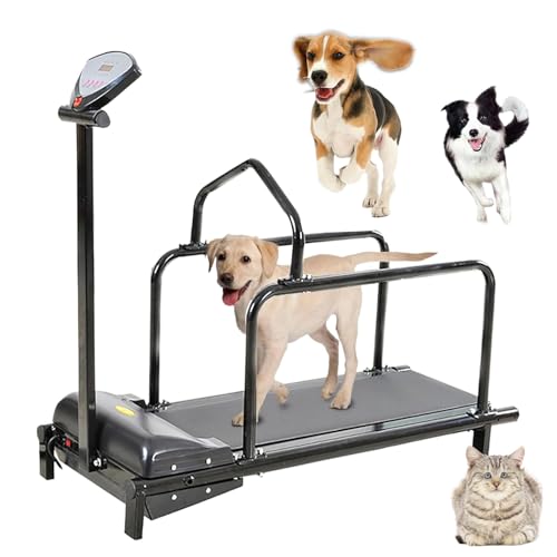 Eastnmythet Cinta de Correr para Mascotas de 80 cm de Largo, Cinta de Correr para Perros Pequeños, Equipo de Entrenamiento para Correr en Interiores y Exteriores con Pantalla
