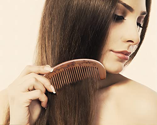 Murtyinl Wooden Hair Combs Fine Tooth Sandalwood Hair Brush Anti-Static Handmade Carved Pattern Pocket-Sized Travel Beard Comb Gift For Women Men Kids With Storage Bags #TOP5