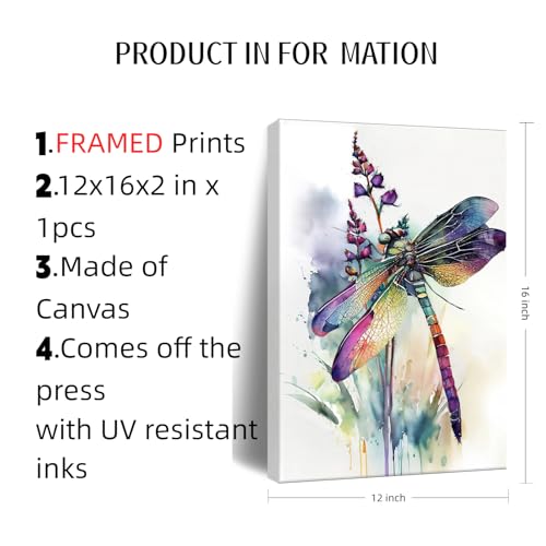 Image of Frimeeme Watercolor Framed Dragonfly Canvas Wall Art,12x16 Inch