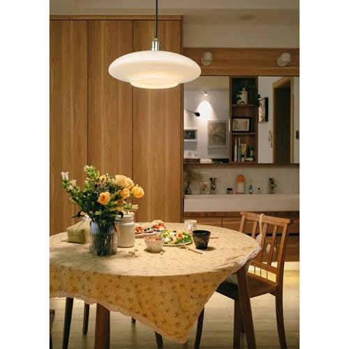 Ampoule E27 pour luminaire suspendu métallique avec diffuseur opale en V - 6