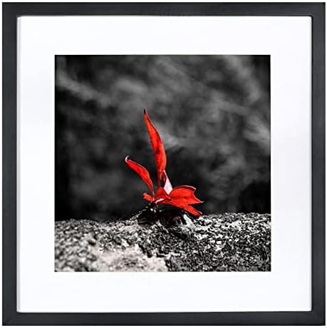 16x16 Picture Frames Black Display Picture Frame 12x12 Solid Wood with Mat Wooden Square Photo Frame for Wall Hanging or Table Top Home Decoration-16x16 Black