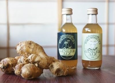 徳之島ジンジャーエール 200ml×6本