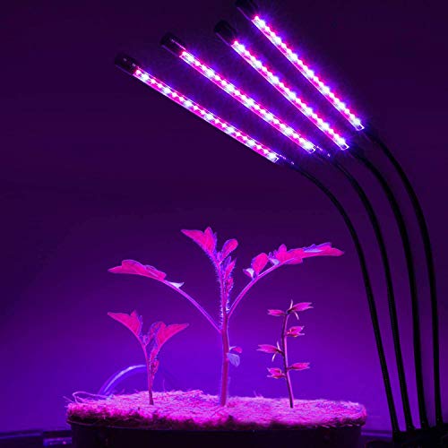 Led Grow Lights For Indoor Plants - Jueyingbaili 80W Full Spectrum Plant Lights With 2020 Upgraded Power Adapter & Auto On/Off Intelligent Timer For Indoor Plants Growth #TOP6