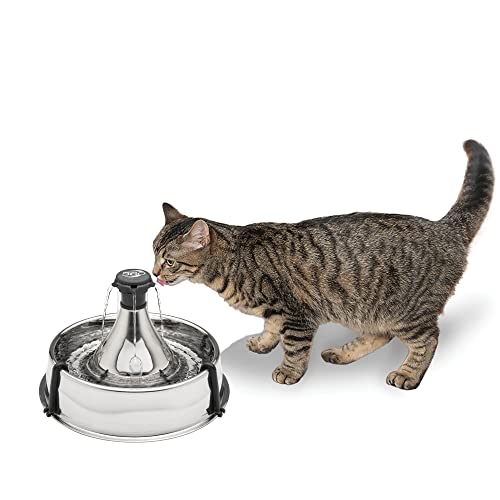 Stainless steel vs Plastic Pet Fountains Which is Better?