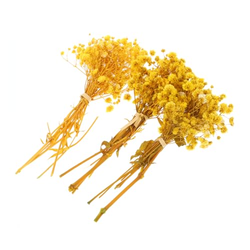 Ramos de flores secas de gypsophila natural para decoración miniatura 1