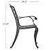 Christopher Knight Home Austin Outdoor Cast Aluminum Dining Chairs, 2-Pcs Set, Shiny Copper