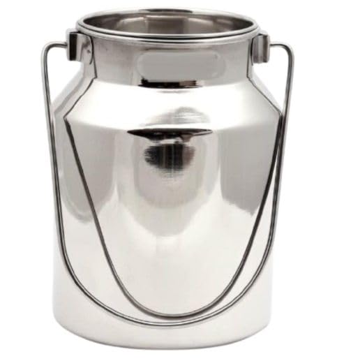 jewellary hub Stainless Steel Metal Milk Jug | Vintage Milk Vases | Silver Milk Gallon | Rustic Milk Cans with Lids (Stainless Steel, 5 Liter)