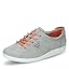 Grey Wild Dove 2539